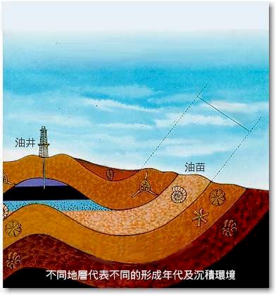 不同地層代表不同的形成年代及沉積環境