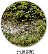 地層褶皺