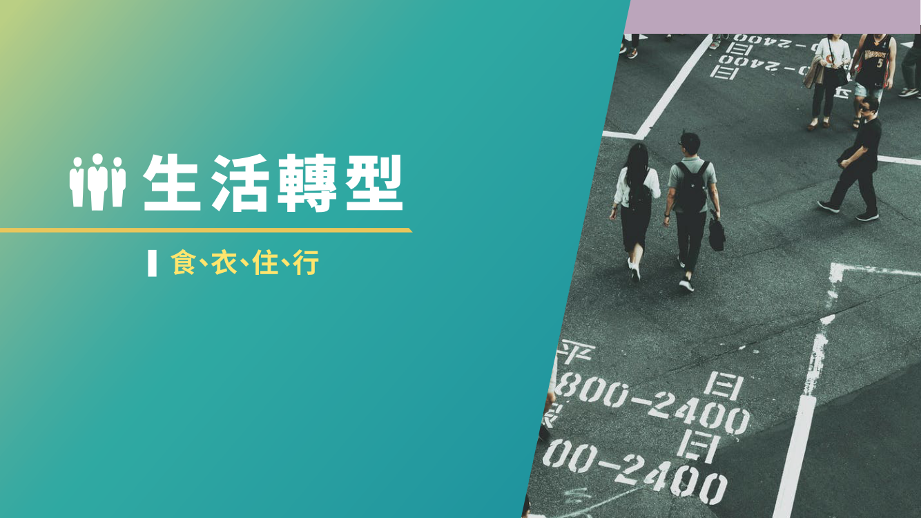 台灣2050淨零排放路徑及策略總說明21
